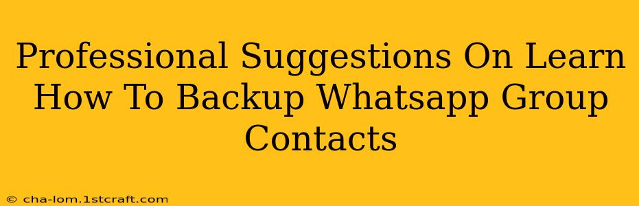 Professional Suggestions On Learn How To Backup Whatsapp Group Contacts