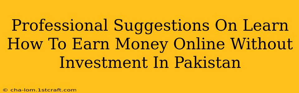 Professional Suggestions On Learn How To Earn Money Online Without Investment In Pakistan