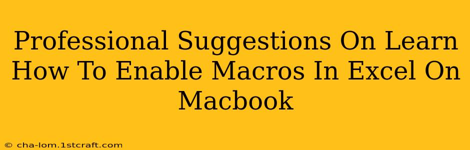 Professional Suggestions On Learn How To Enable Macros In Excel On Macbook