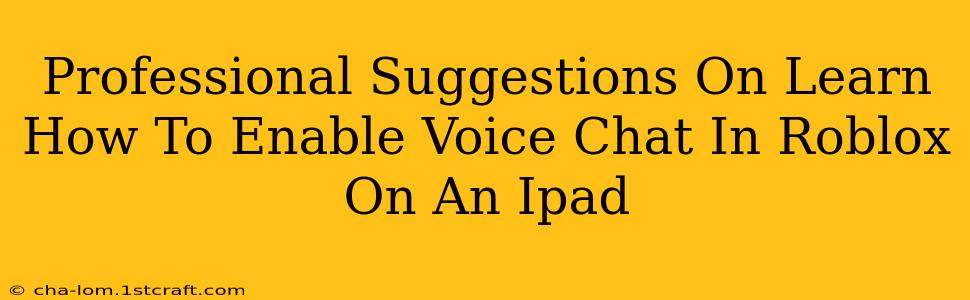 Professional Suggestions On Learn How To Enable Voice Chat In Roblox On An Ipad