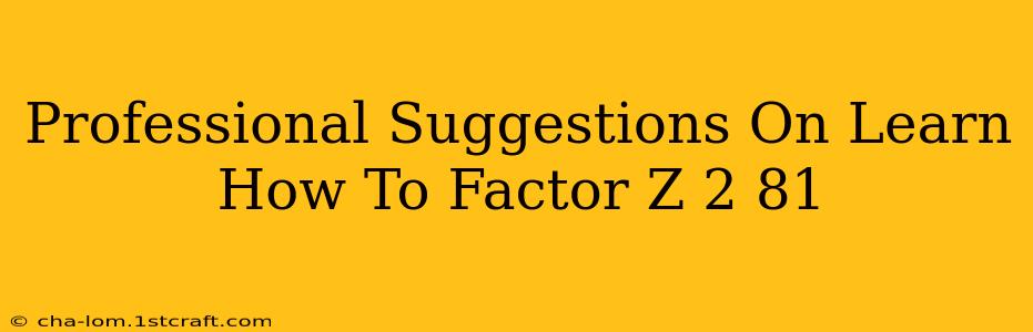 Professional Suggestions On Learn How To Factor Z 2 81