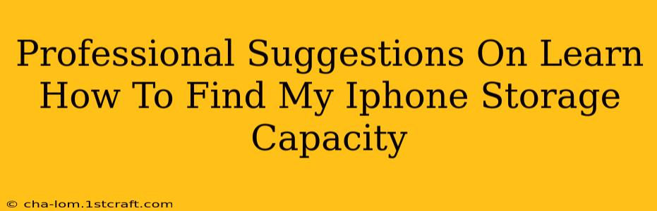 Professional Suggestions On Learn How To Find My Iphone Storage Capacity