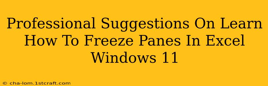 Professional Suggestions On Learn How To Freeze Panes In Excel Windows 11