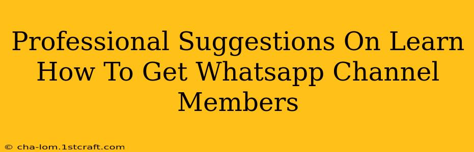 Professional Suggestions On Learn How To Get Whatsapp Channel Members