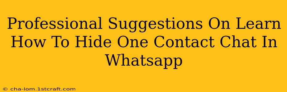 Professional Suggestions On Learn How To Hide One Contact Chat In Whatsapp