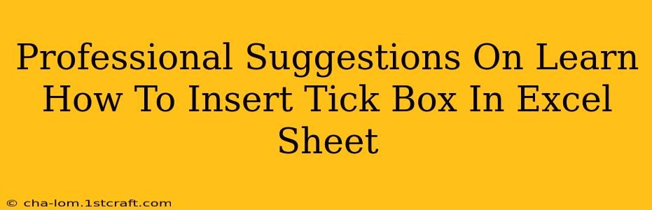 Professional Suggestions On Learn How To Insert Tick Box In Excel Sheet