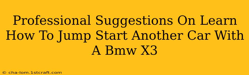 Professional Suggestions On Learn How To Jump Start Another Car With A Bmw X3