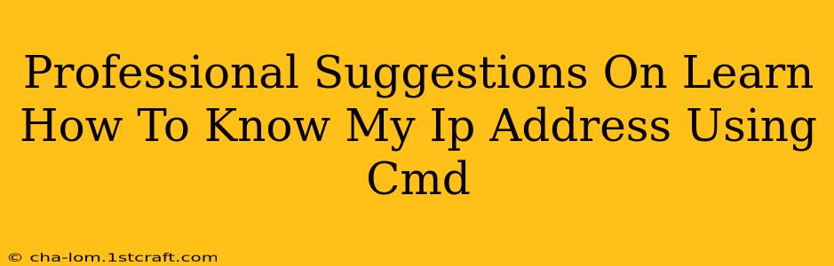 Professional Suggestions On Learn How To Know My Ip Address Using Cmd