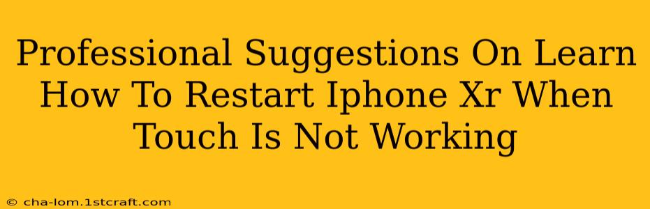 Professional Suggestions On Learn How To Restart Iphone Xr When Touch Is Not Working