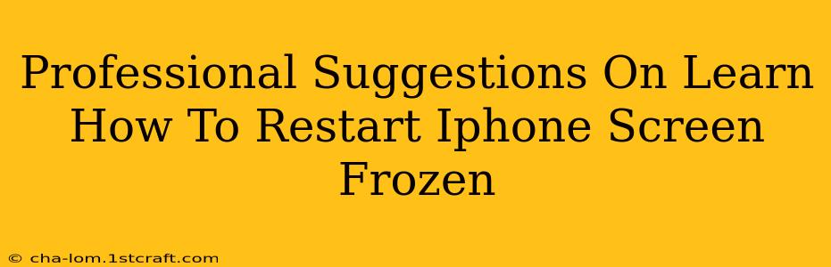 Professional Suggestions On Learn How To Restart Iphone Screen Frozen