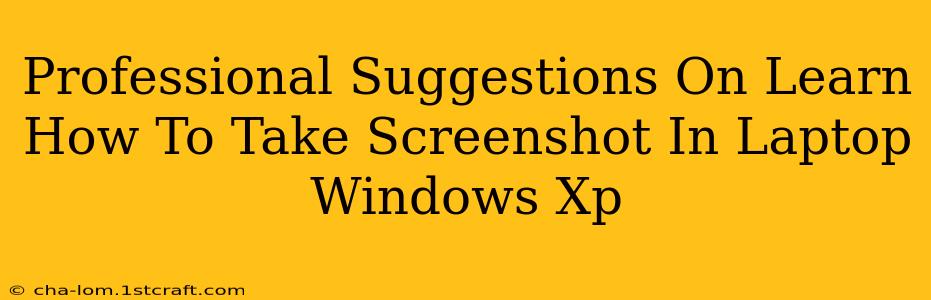 Professional Suggestions On Learn How To Take Screenshot In Laptop Windows Xp