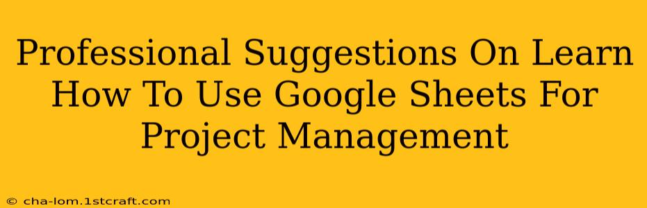 Professional Suggestions On Learn How To Use Google Sheets For Project Management