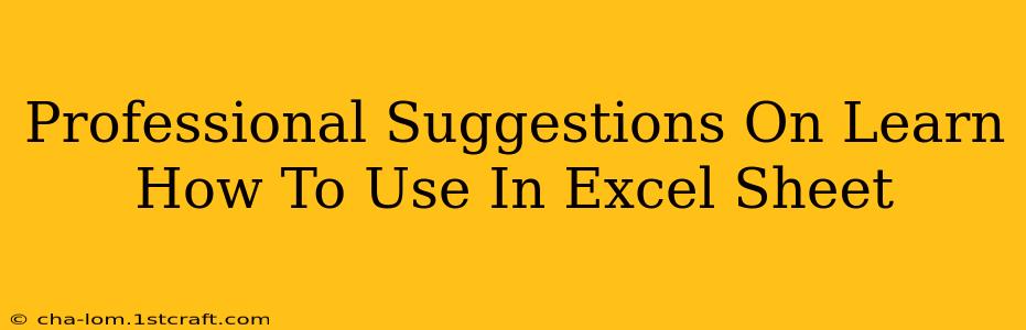 Professional Suggestions On Learn How To Use In Excel Sheet