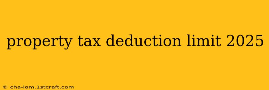 property tax deduction limit 2025