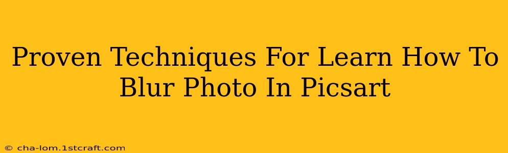 Proven Techniques For Learn How To Blur Photo In Picsart