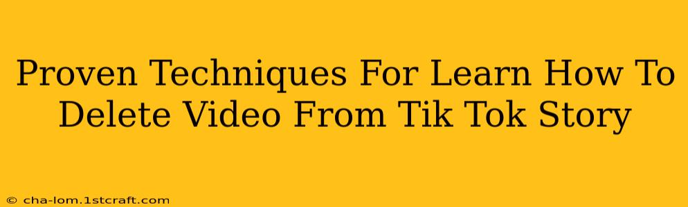 Proven Techniques For Learn How To Delete Video From Tik Tok Story