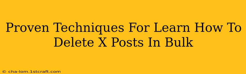 Proven Techniques For Learn How To Delete X Posts In Bulk