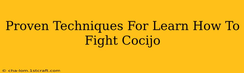 Proven Techniques For Learn How To Fight Cocijo