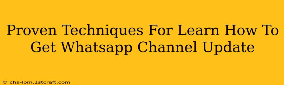 Proven Techniques For Learn How To Get Whatsapp Channel Update