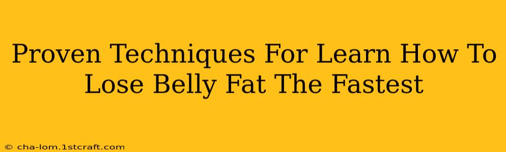 Proven Techniques For Learn How To Lose Belly Fat The Fastest