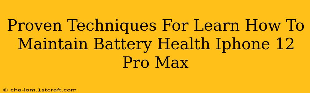 Proven Techniques For Learn How To Maintain Battery Health Iphone 12 Pro Max