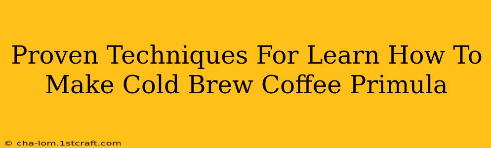 Proven Techniques For Learn How To Make Cold Brew Coffee Primula