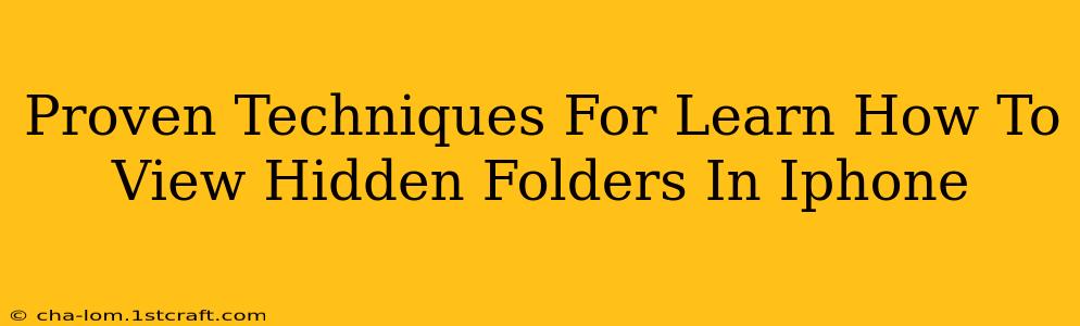 Proven Techniques For Learn How To View Hidden Folders In Iphone