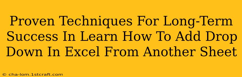 Proven Techniques For Long-Term Success In Learn How To Add Drop Down In Excel From Another Sheet