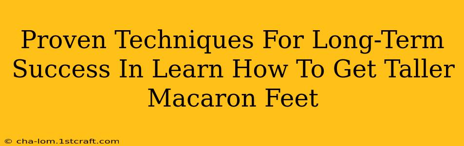 Proven Techniques For Long-Term Success In Learn How To Get Taller Macaron Feet