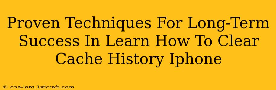 Proven Techniques For Long-Term Success In Learn How To Clear Cache History Iphone