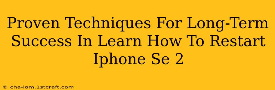 Proven Techniques For Long-Term Success In Learn How To Restart Iphone Se 2