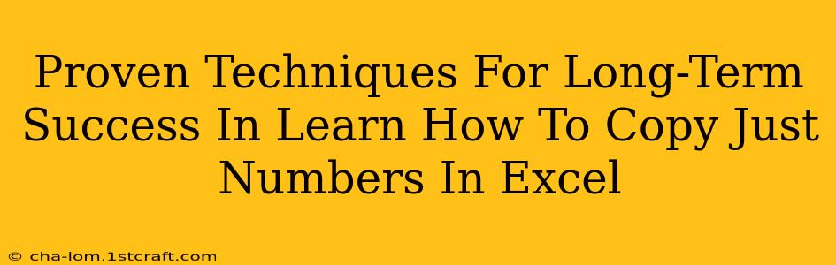 Proven Techniques For Long-Term Success In Learn How To Copy Just Numbers In Excel