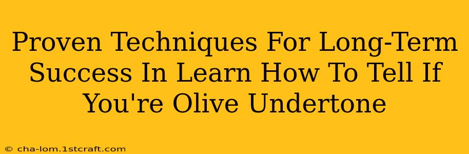 Proven Techniques For Long-Term Success In Learn How To Tell If You're Olive Undertone