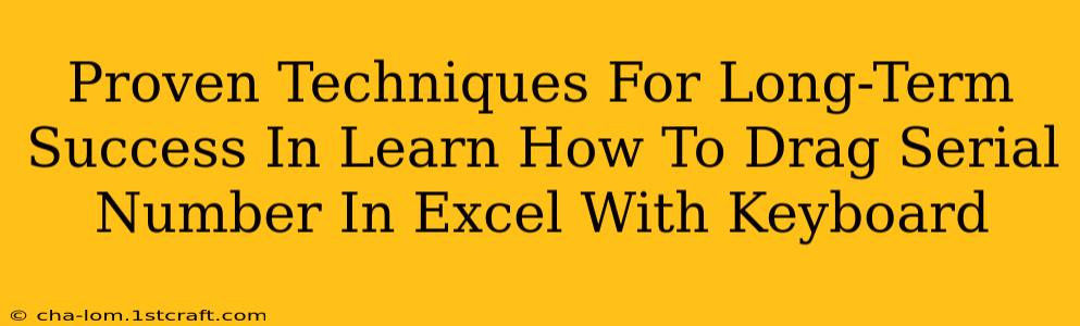 Proven Techniques For Long-Term Success In Learn How To Drag Serial Number In Excel With Keyboard