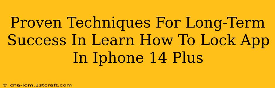 Proven Techniques For Long-Term Success In Learn How To Lock App In Iphone 14 Plus