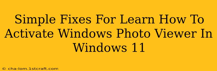 Simple Fixes For Learn How To Activate Windows Photo Viewer In Windows 11