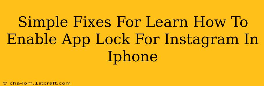 Simple Fixes For Learn How To Enable App Lock For Instagram In Iphone