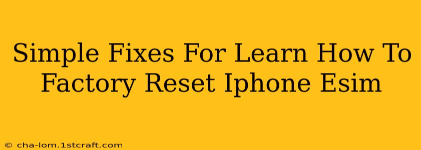 Simple Fixes For Learn How To Factory Reset Iphone Esim