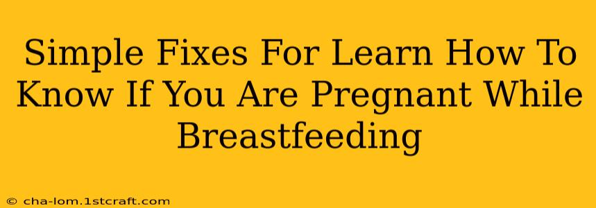 Simple Fixes For Learn How To Know If You Are Pregnant While Breastfeeding