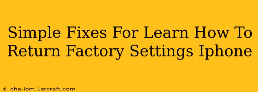 Simple Fixes For Learn How To Return Factory Settings Iphone