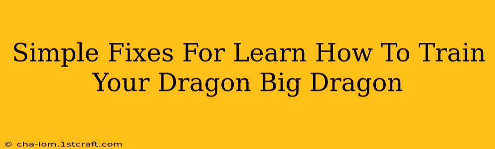 Simple Fixes For Learn How To Train Your Dragon Big Dragon