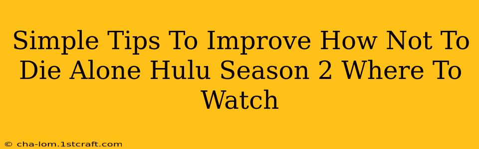 Simple Tips To Improve How Not To Die Alone Hulu Season 2 Where To Watch