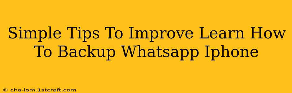 Simple Tips To Improve Learn How To Backup Whatsapp Iphone