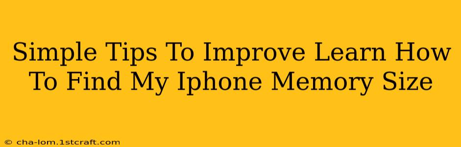 Simple Tips To Improve Learn How To Find My Iphone Memory Size