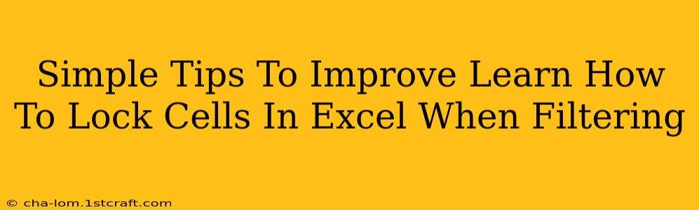 Simple Tips To Improve Learn How To Lock Cells In Excel When Filtering