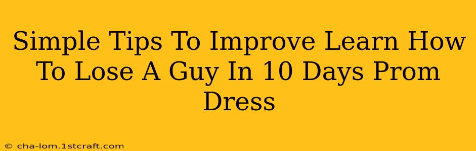 Simple Tips To Improve Learn How To Lose A Guy In 10 Days Prom Dress