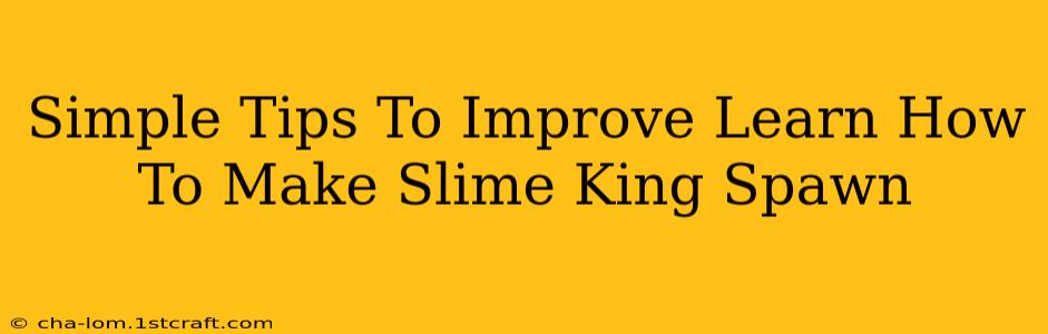 Simple Tips To Improve Learn How To Make Slime King Spawn