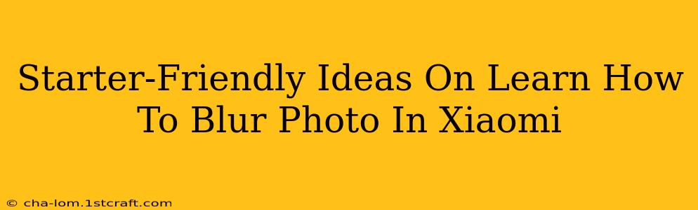 Starter-Friendly Ideas On Learn How To Blur Photo In Xiaomi