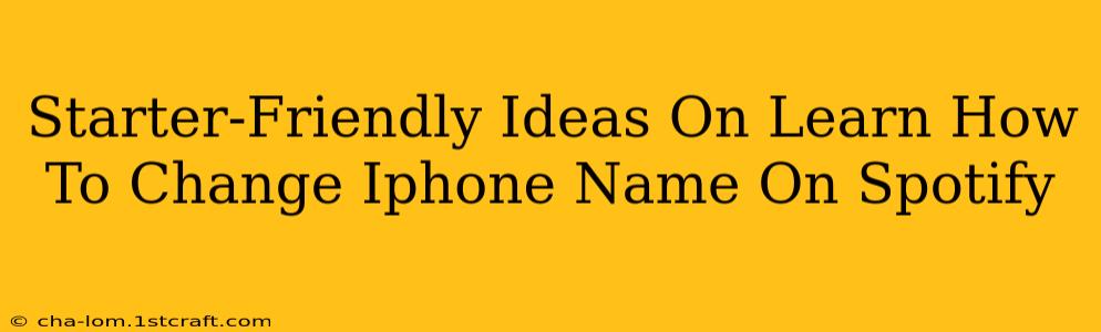 Starter-Friendly Ideas On Learn How To Change Iphone Name On Spotify