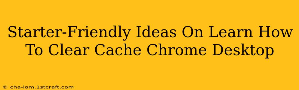 Starter-Friendly Ideas On Learn How To Clear Cache Chrome Desktop